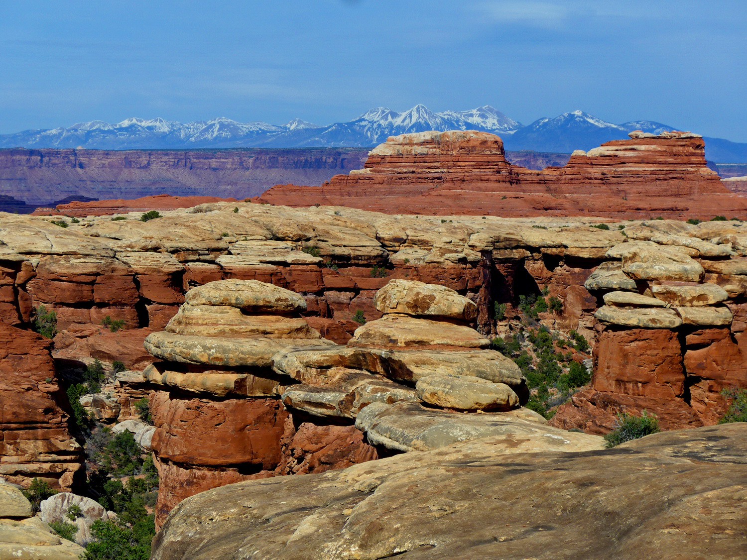 Sandstone rocks with snowy mountains of the northern section of the Manti-la Sal National Forest